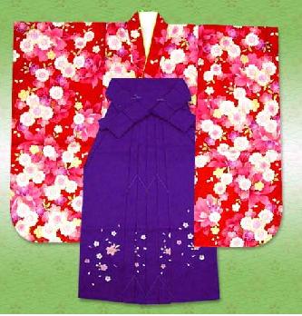 Kimono para ninas de 7 anos (estampado integral)