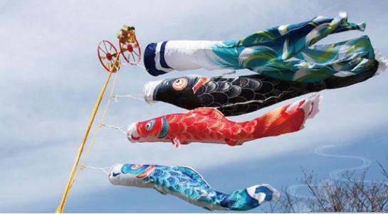 [Koinobori] Conjunto de koinobori