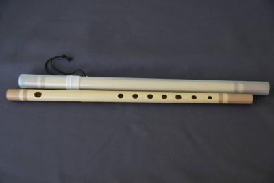 7 agujeros, 7 tonos (con estuche de plástico)