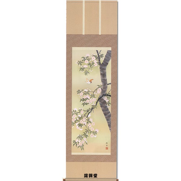Pergamino colgante de Keishu Nagae, "Flores de cerezo y pequeños pájaros", para colgar en temporada (primavera)