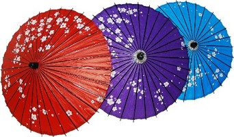Parasol ciruela