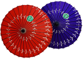Flor de parasol y sauce