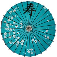 Sombrilla, azul ciruela, longevidad, 24 cm, escritura regular negra